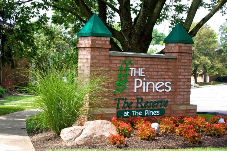 The Pines Image 2