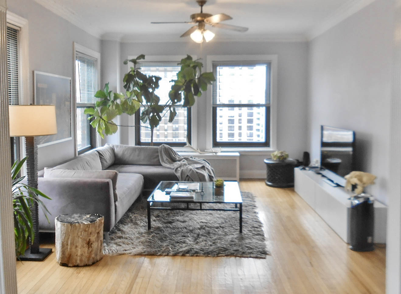 540 W. Briar Image 23