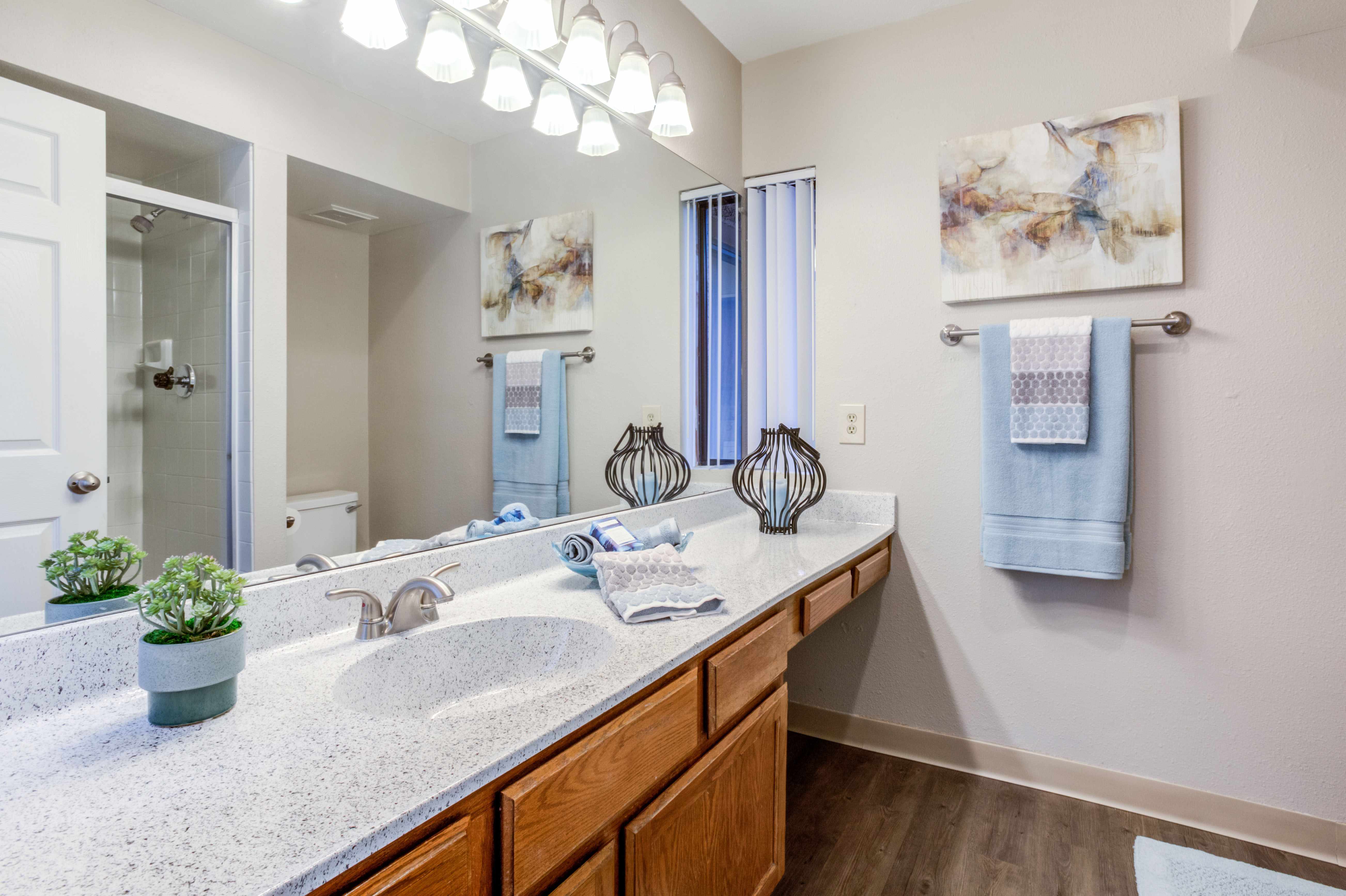 Renaissance Apartment Homes Image 28