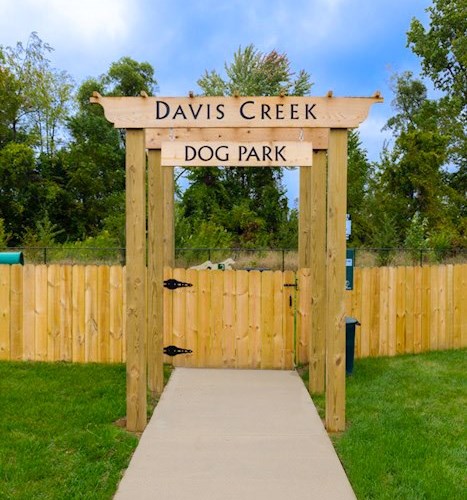 Davis Creek Image 6