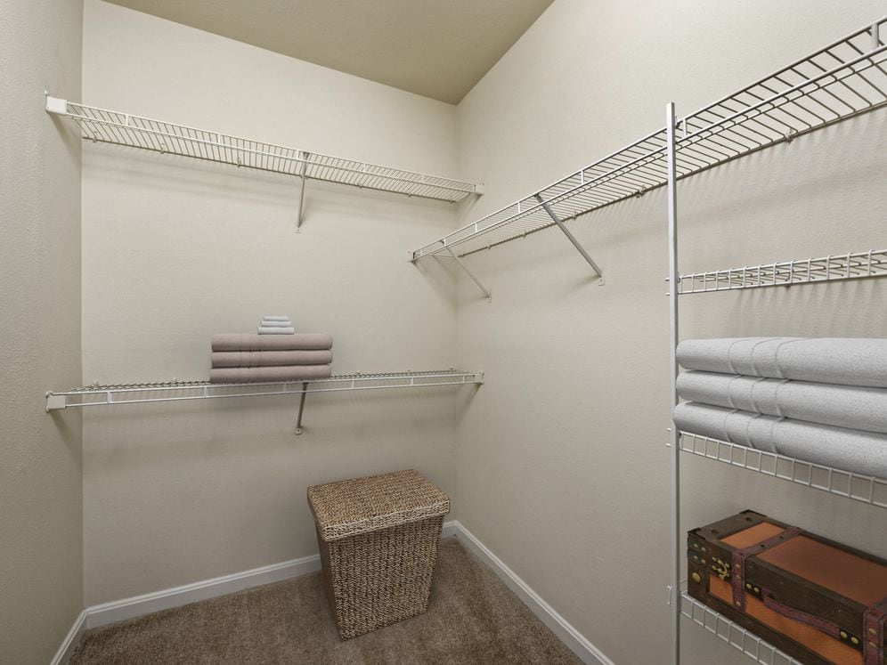 Spacious, walk-in closet