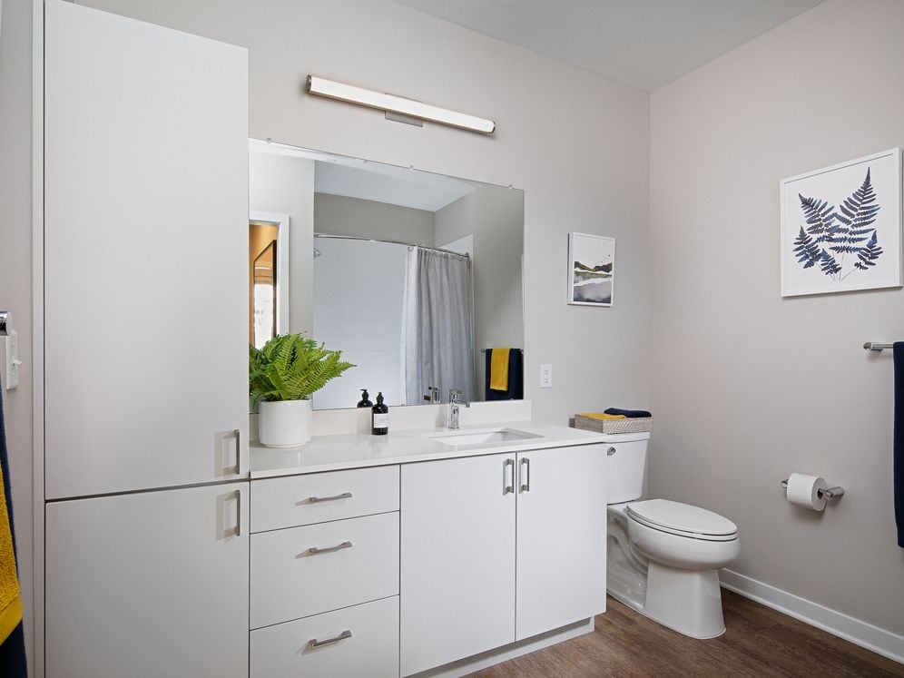 Base Scheme apartment bath with light grey cabinetry, white quartz countertops, and hard surface flooring