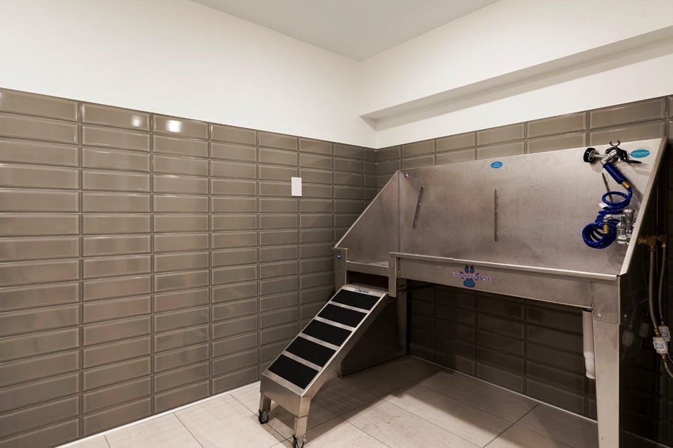 The M on Hennepin Image 12