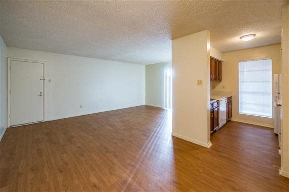 Stone Forest Image 6