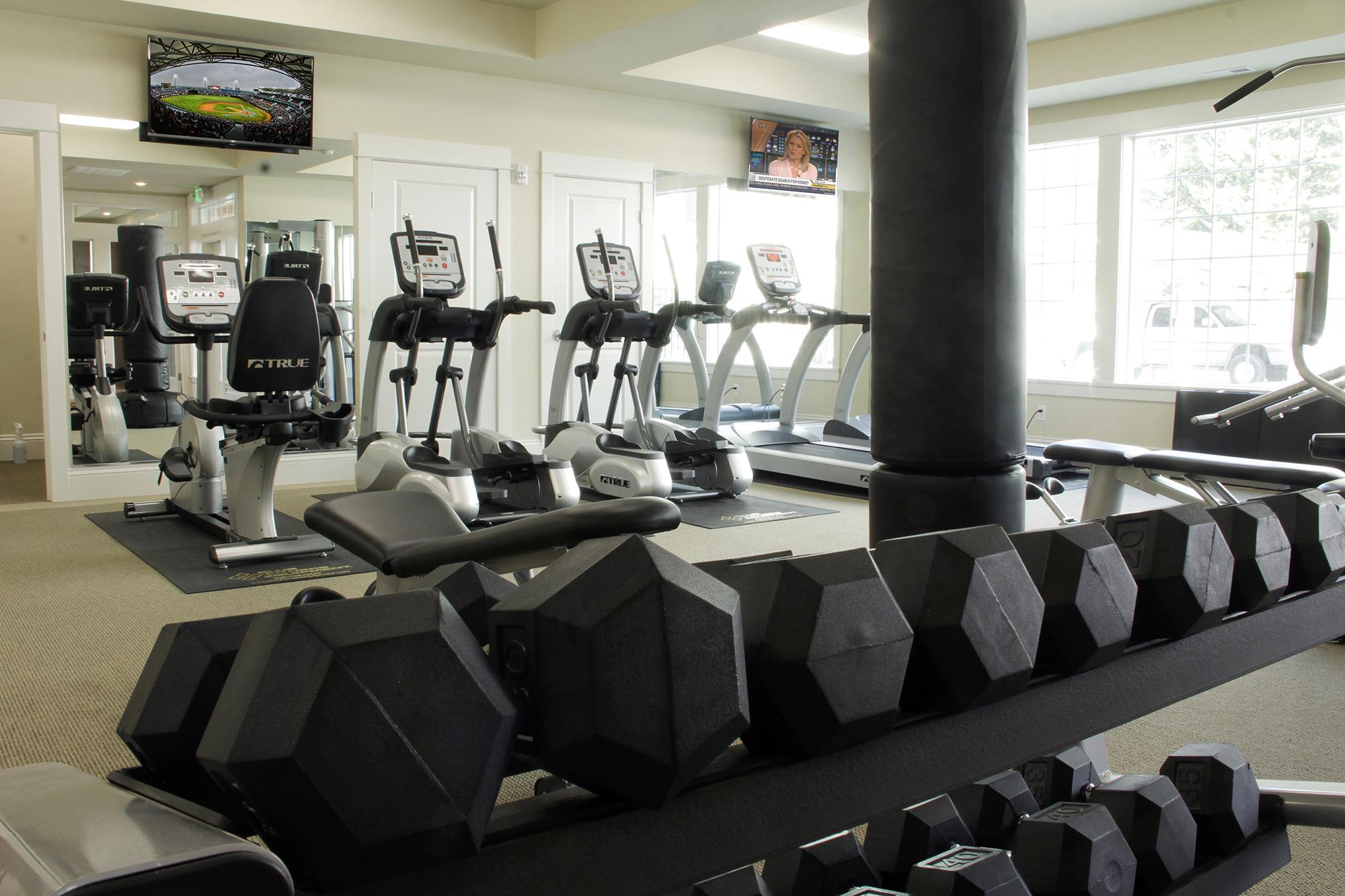 Tudor Village at the Mall Image 10