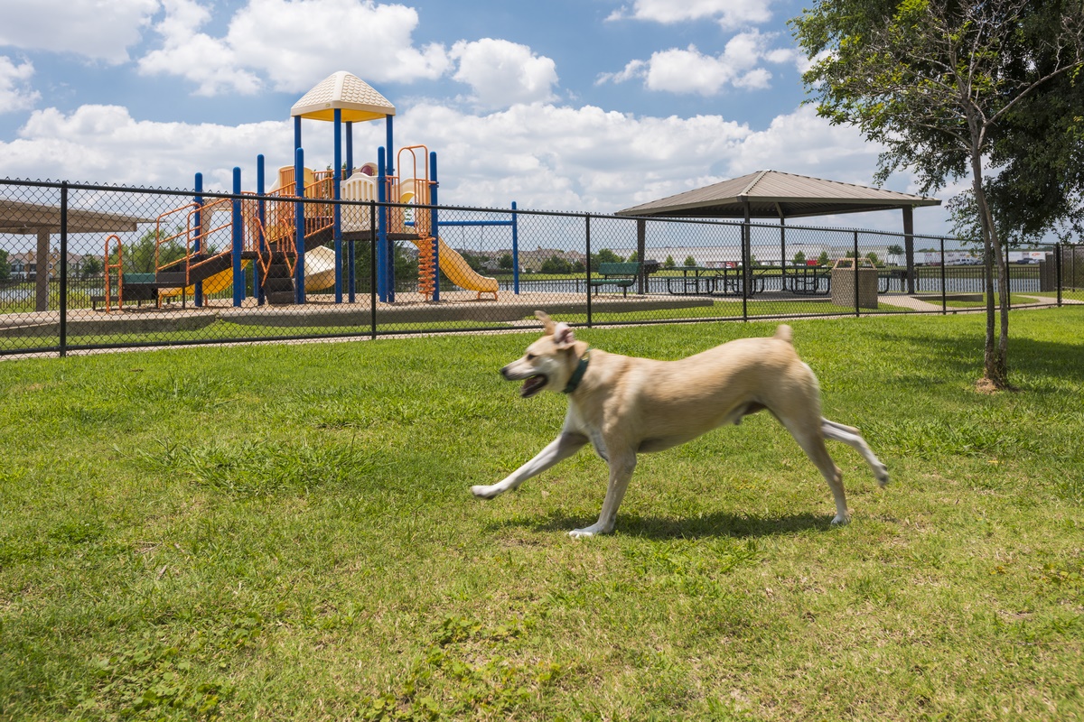 Crescent Cove At Lakepointe Image 9