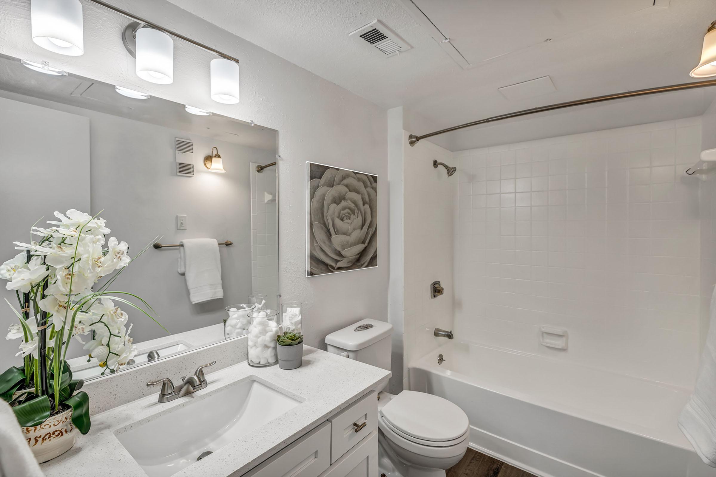 North Burnet Image 11