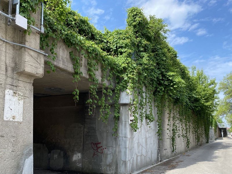 Bloomingdale Trail Access Nearby