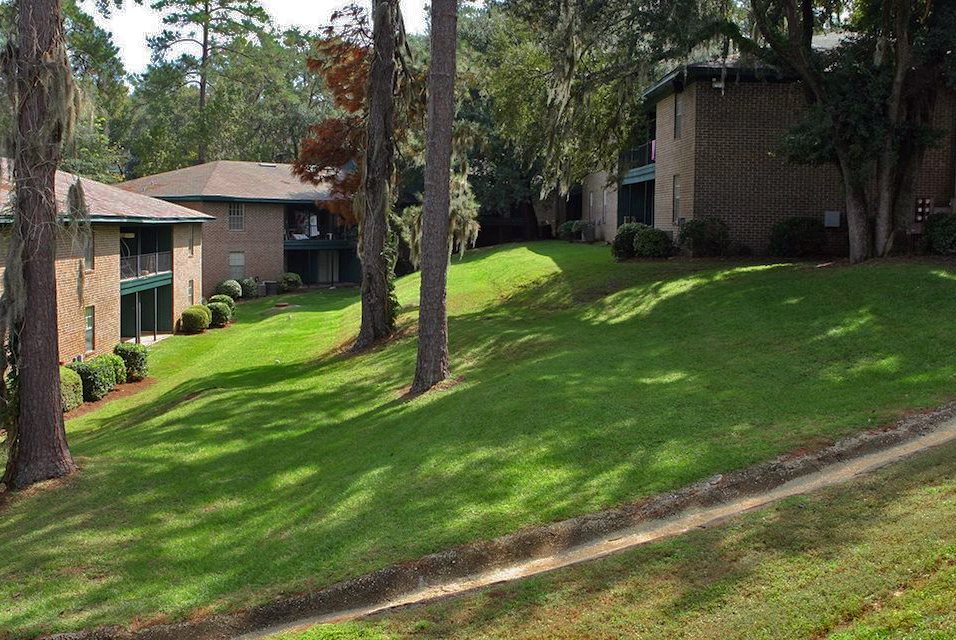 Aspen Run II Image 1