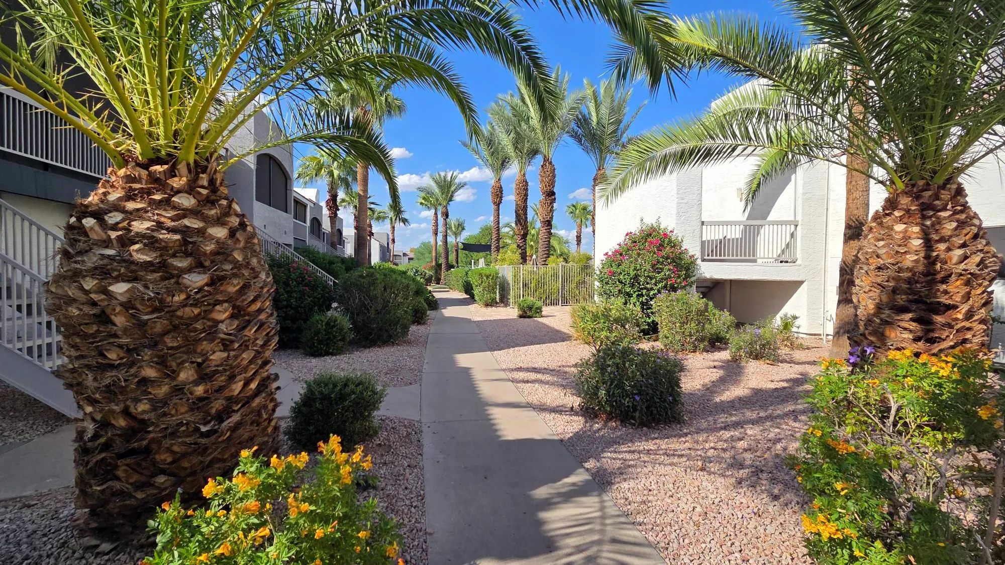 Palm-lined walkways, vibrant greenery, and colorful landscaping create a scenic path through the community.