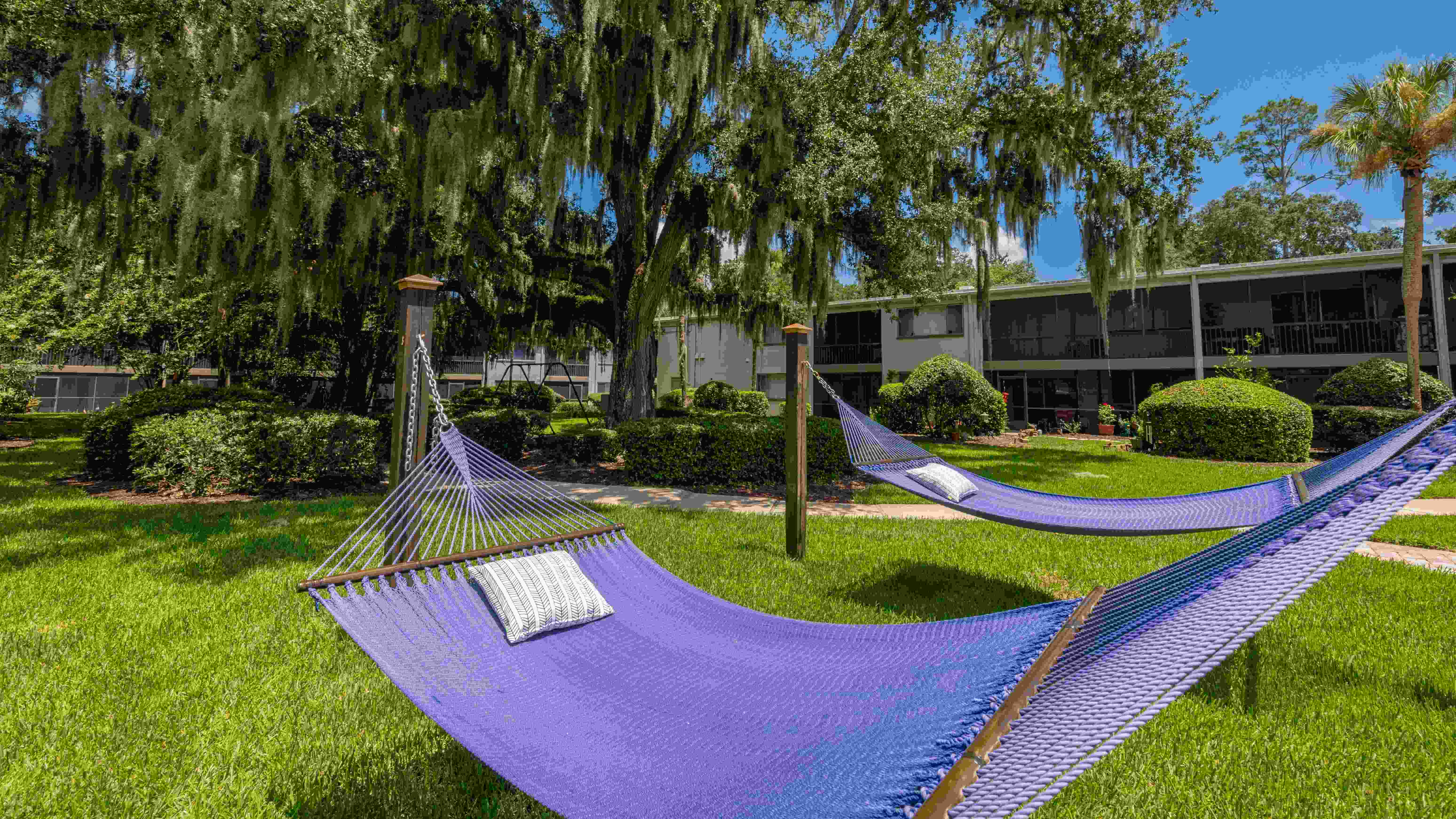 Surrender to serenity at the hammock garden - an idyllic outdoor space inviting you to unwind and dream. 