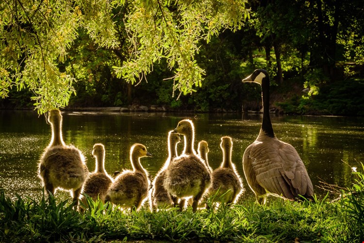 Lakewood Tower Image 17