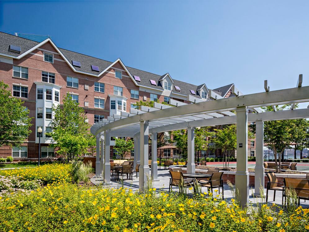 Barbecue and picnic area