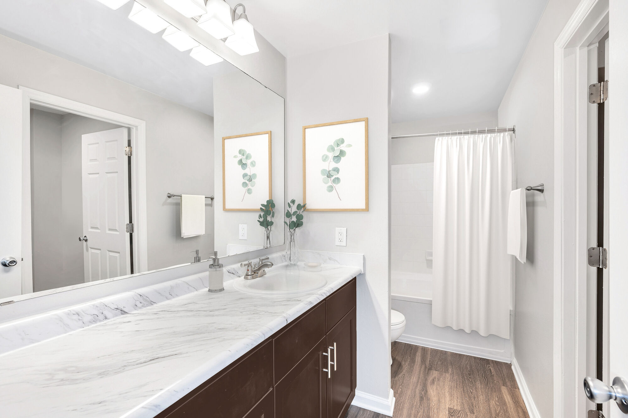 Camden Lake Pine Image 7