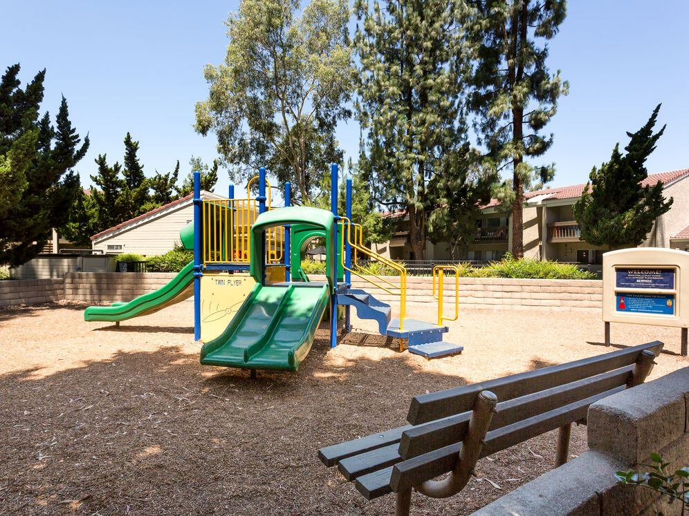 Pool Side Barbecue Grills