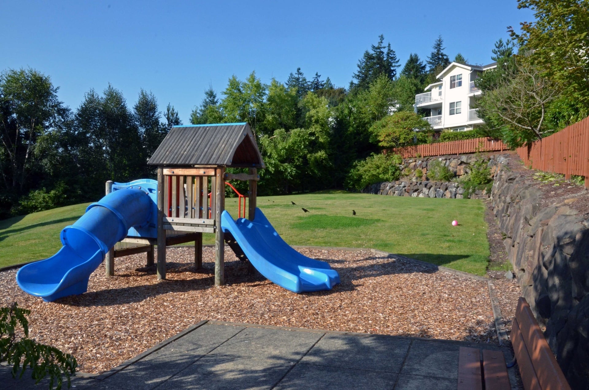 Langara Image 16