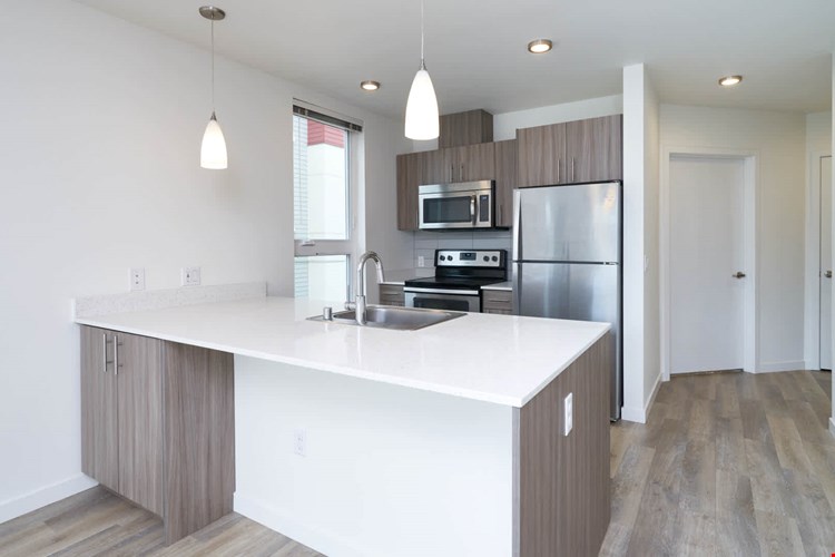 Springline  Image 10