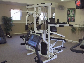 Fitness