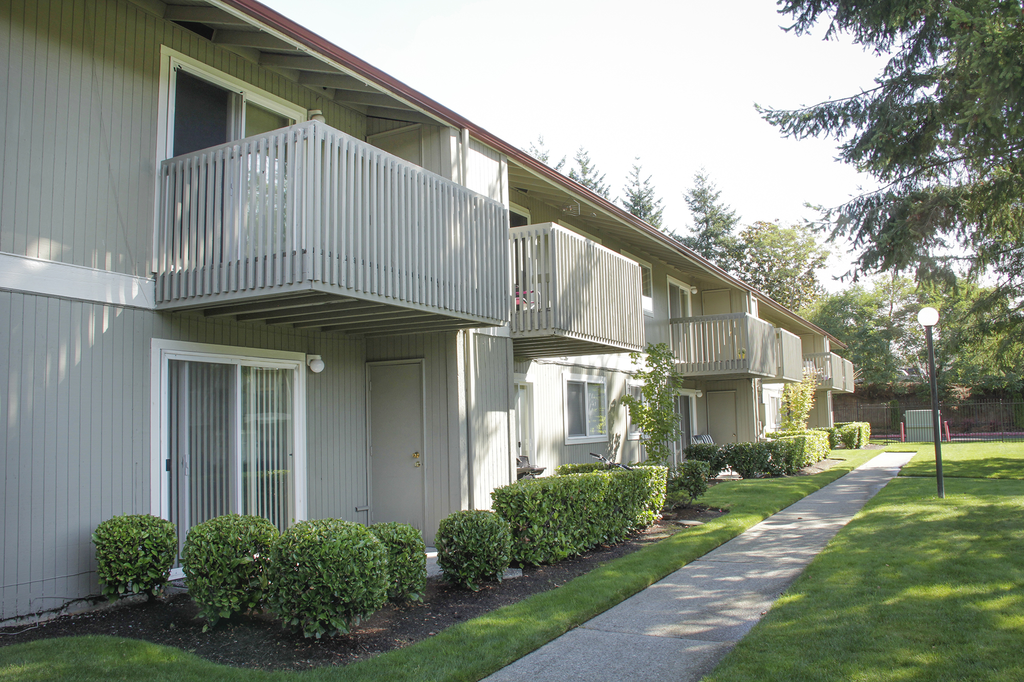 Trellis on Orchard Image 10