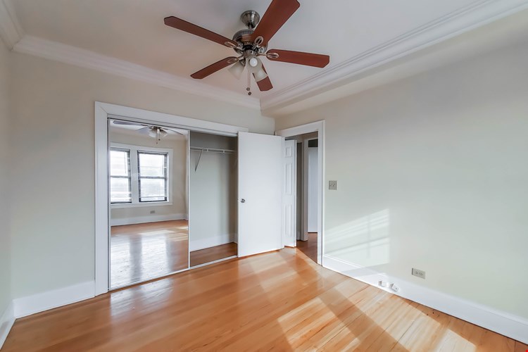 The Patricians Image 25