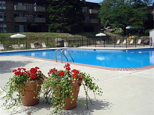 Top of the Hill Apartments Image 3