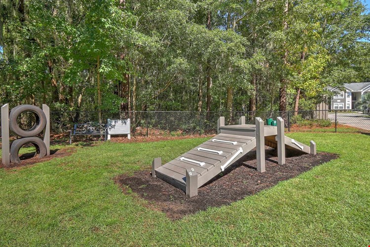 Unleash the excitement in our off-leash dog park with agility equipment, perfect for your four-legged adventurer.