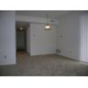 Beech Meadow Image 7