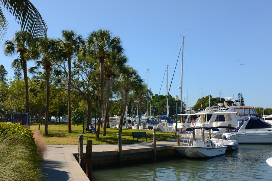 The DeSota Image 25