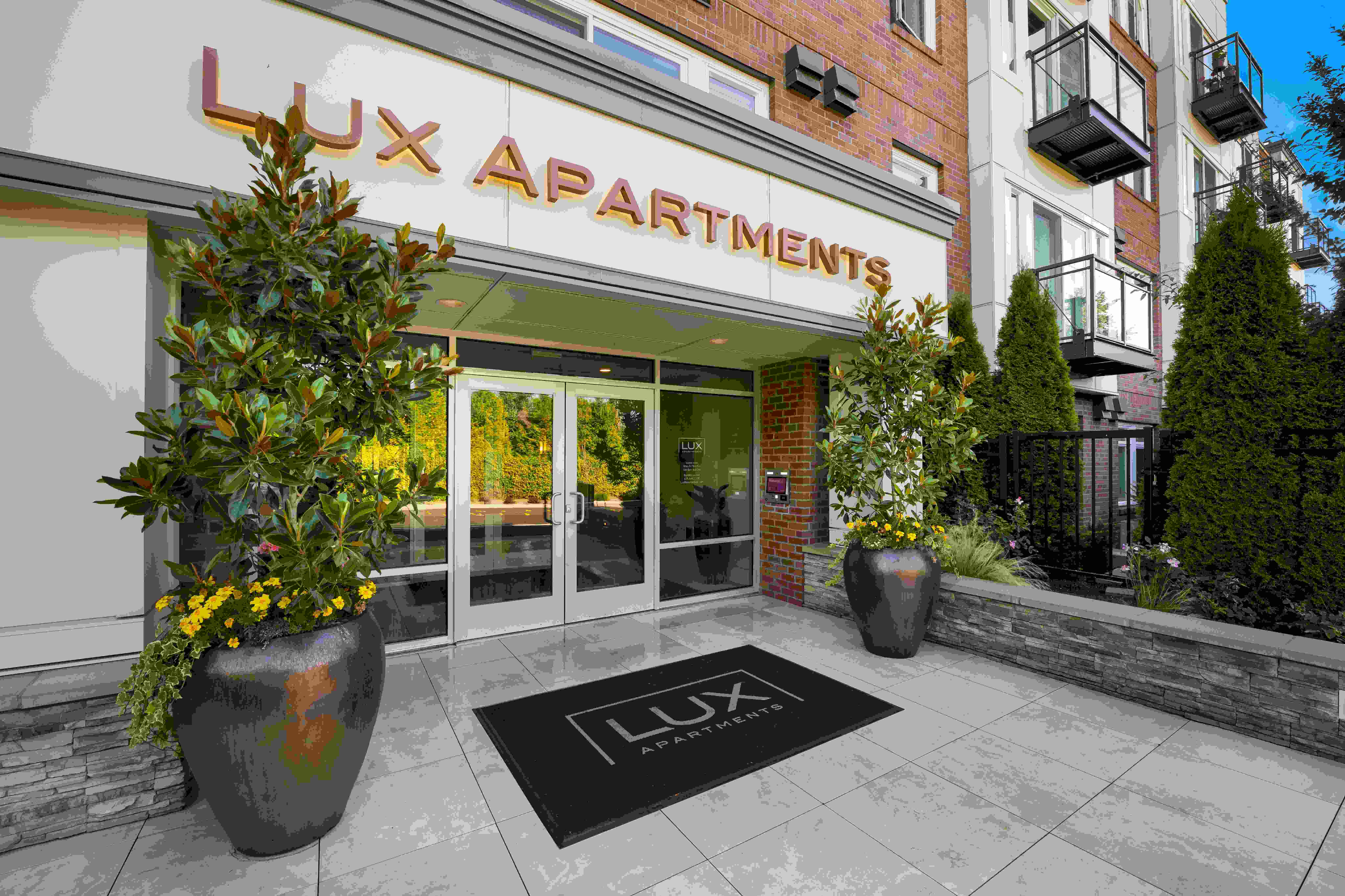 Lux Image 35