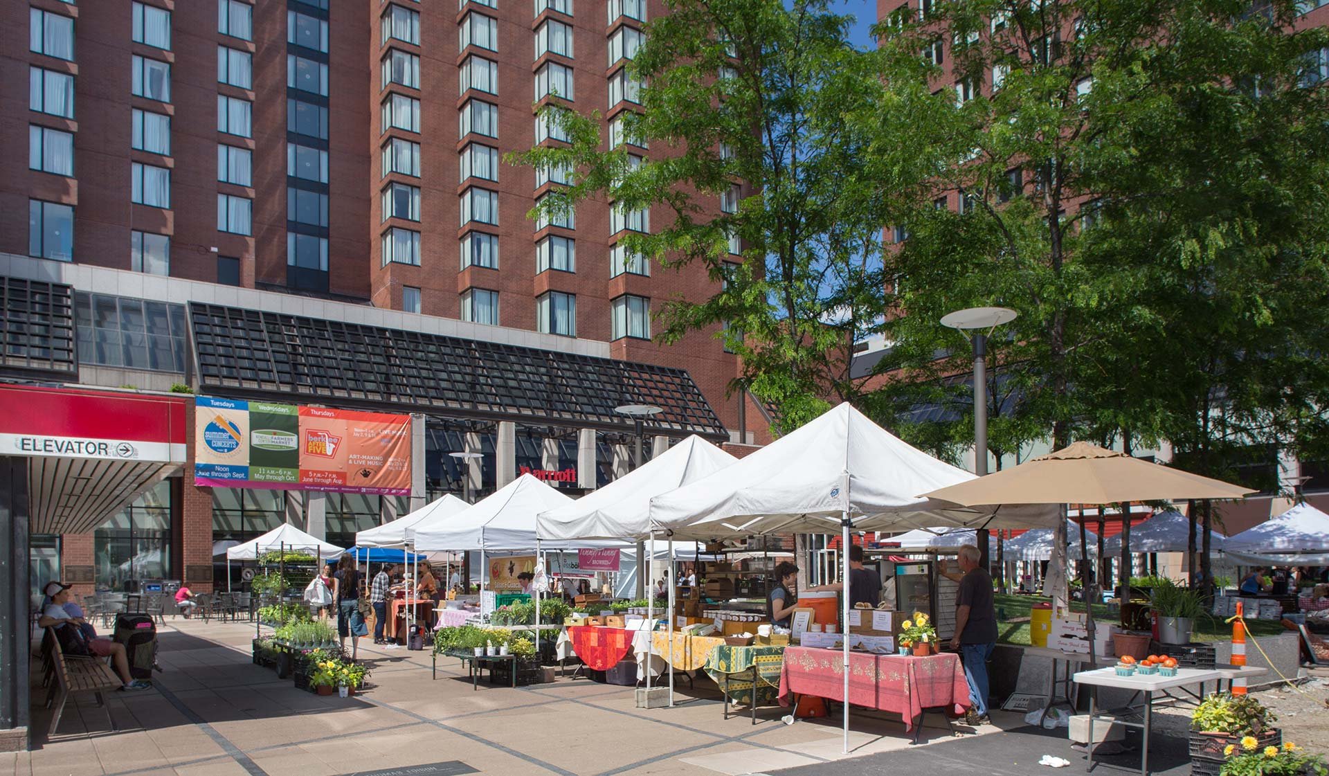 Visit the farmers market and shop the local fresh goods