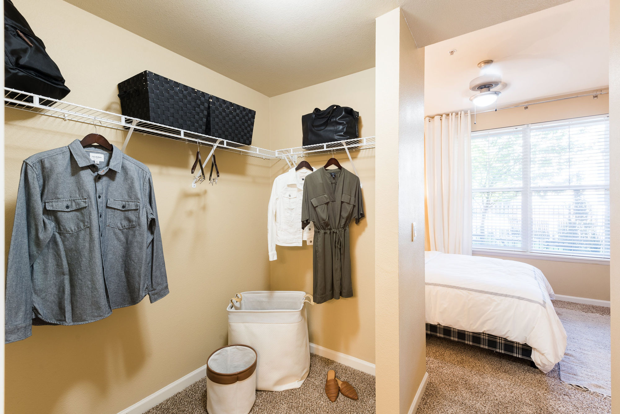 IMT At City Park Image 12