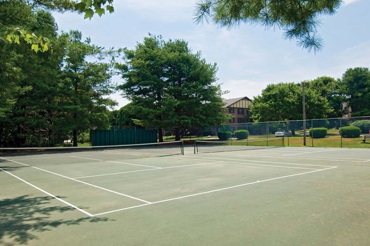 Play tennis on our lighted courts