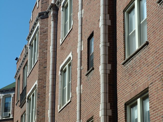 5034-5046 S Woodlawn Avenue Image 4