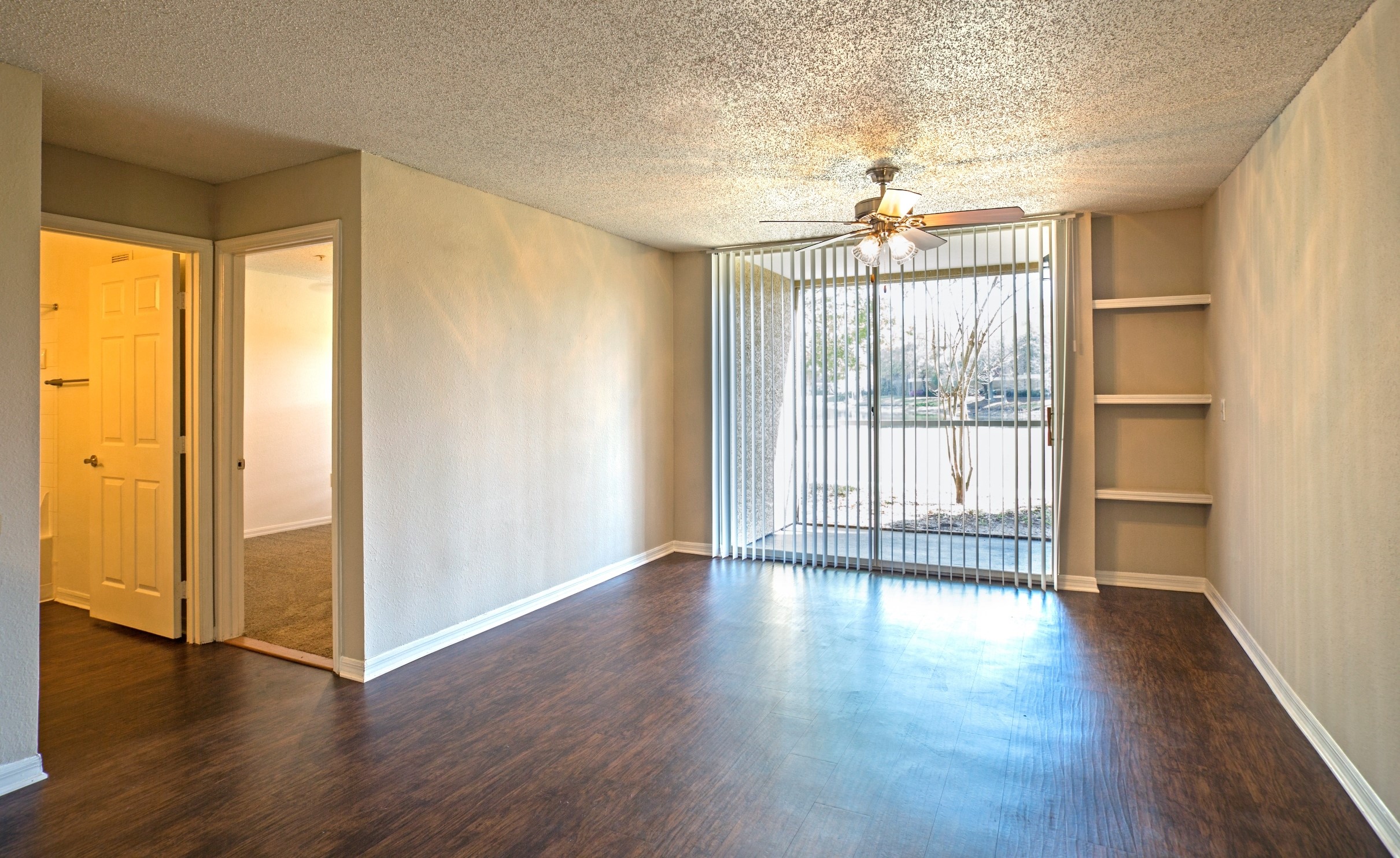 Sabal Palm at Carrollwood Image 6