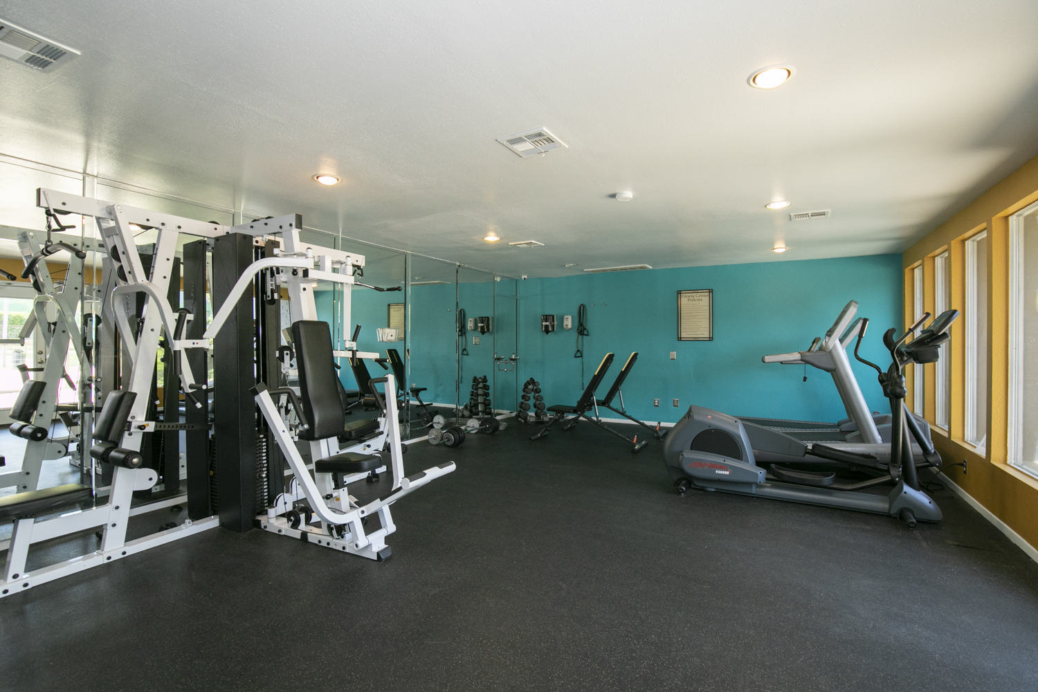 The Social Apartments Image 6