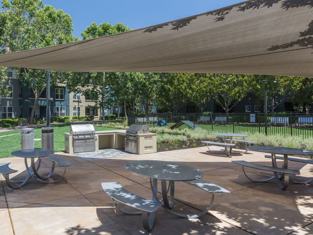 Courtyard With Barbecue Grills And Picnic Area