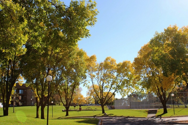 Lexington Heights Image 6