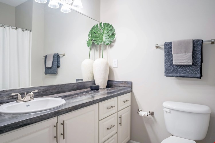 Our exquisite bathrooms feature black fusion countertops, expansive mirrors with vanity lighting, and luxurious tile flooring.