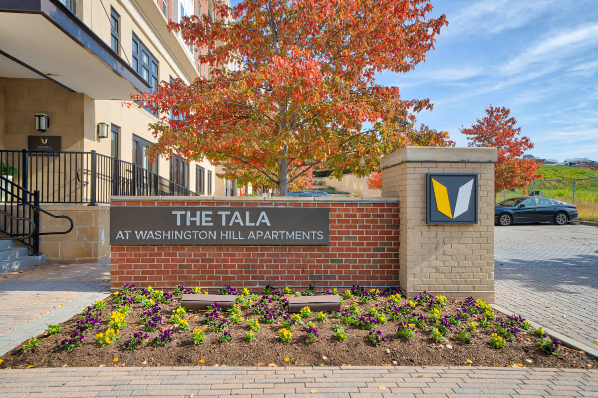 The Tala at Washington Hill Image 1