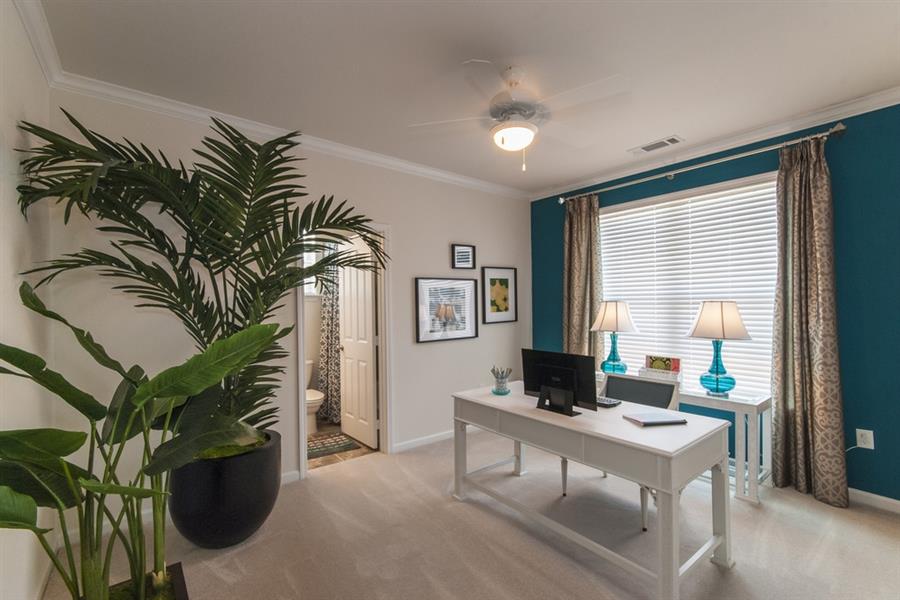 Seagrove Image 9