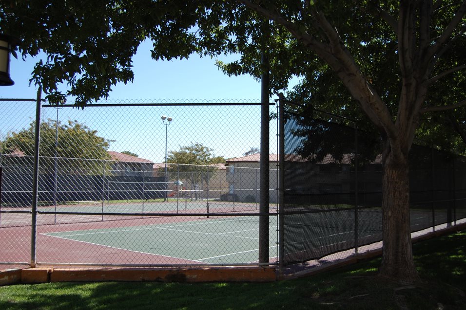 The Hive at Valencia Image 6