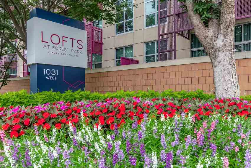 Lofts at Forest Park Image 2