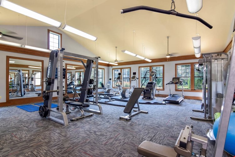 Terrastone Travesia Image 4