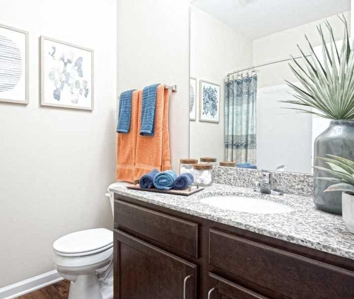 Stallings Mill Apartments Image 11