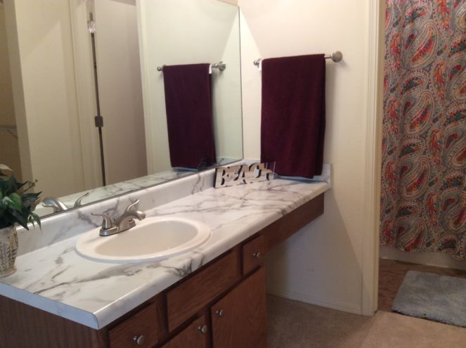 Pepper Tree Image 17