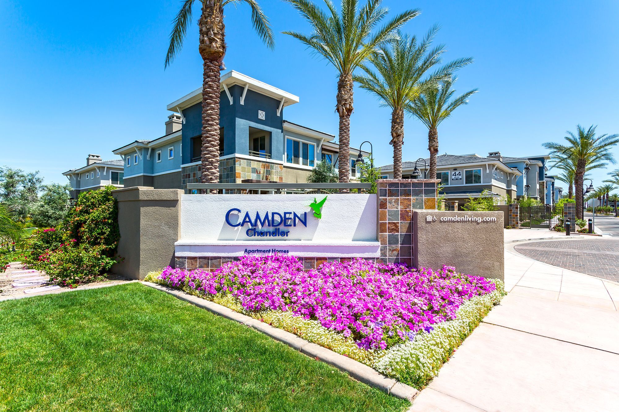 Camden Chandler Image 50