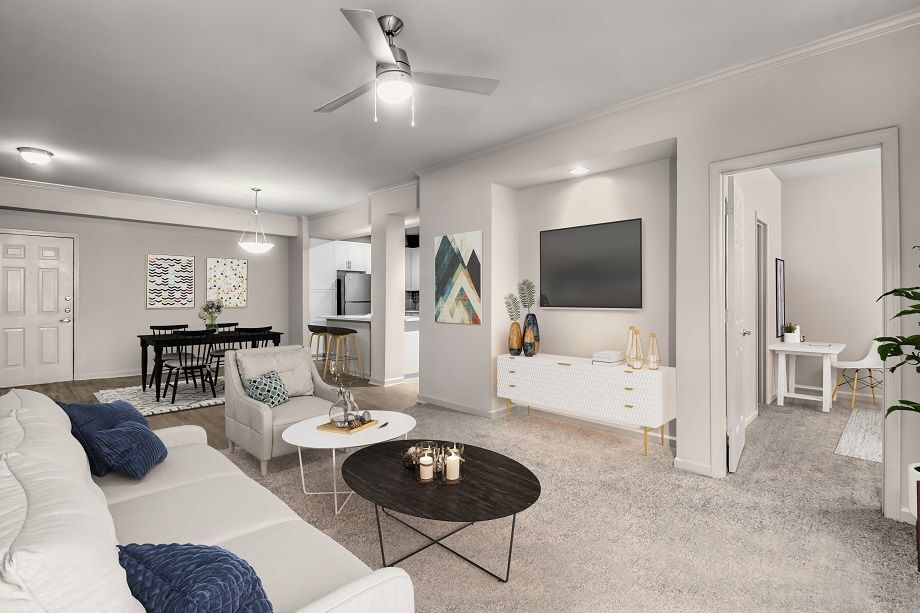 Camden Phipps Image 7