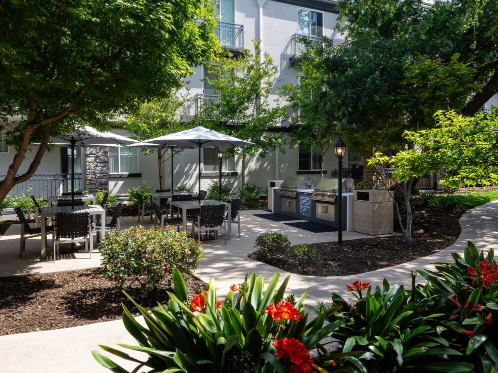 BBQ grills and picnic areas