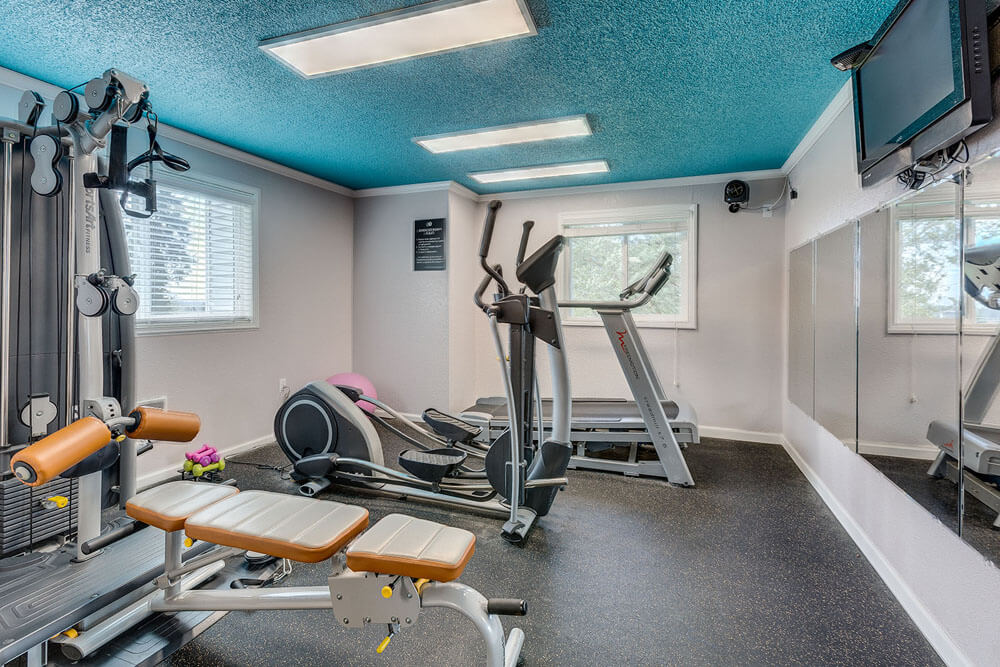 Campo Basso Apartments Image 2