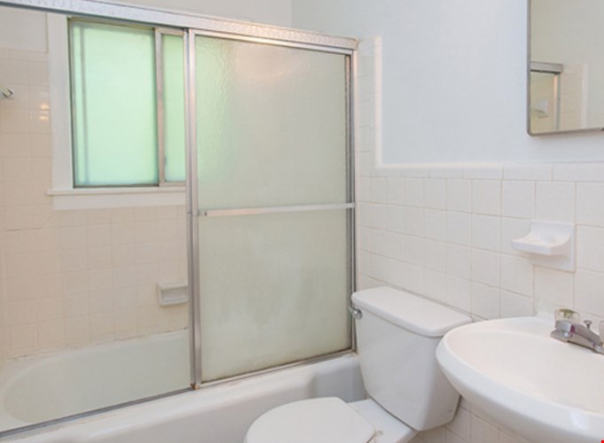 Pines on Scott Image 6